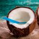 Manna kelapa: manfaat dan bahaya, resep dengan pasta kelapa produk organik cara menggunakan