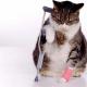 Why does a cat limp on its hind leg without visible damage: what to do?