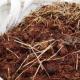 What to add to the soil in autumn: fertilizers and additives to increase soil fertility