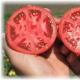 Заготавливаем семена томатов из своих помидор