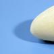 Насколько вредны и полезны яйца цесарок Цесарка яичная