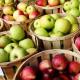 Mermelada de manzanas de verano y otoño: clásica y variada Hacer mermelada de manzana en casa