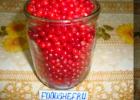 Drupe berries - recipes for preparing for the winter What to cook from drupes for the winter